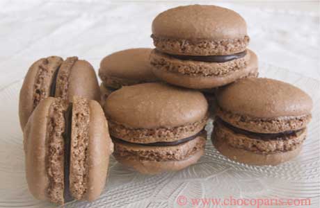 chocolate macarons chocolate macarons