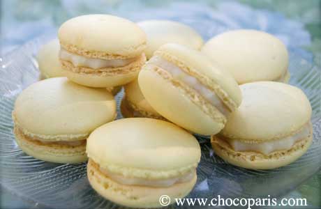 lemon macarons lemon macarons