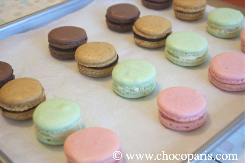 macarons for the holidays macarons for the holidays