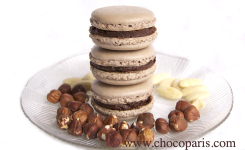 macarons au praliné macarons au praliné