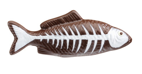 X-ray fish, by Jean-Paul Hévin X-ray fish, by Jean-Paul Hévin
